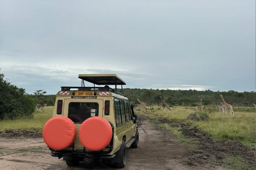 safari land cruiser rental uganda with popup roof